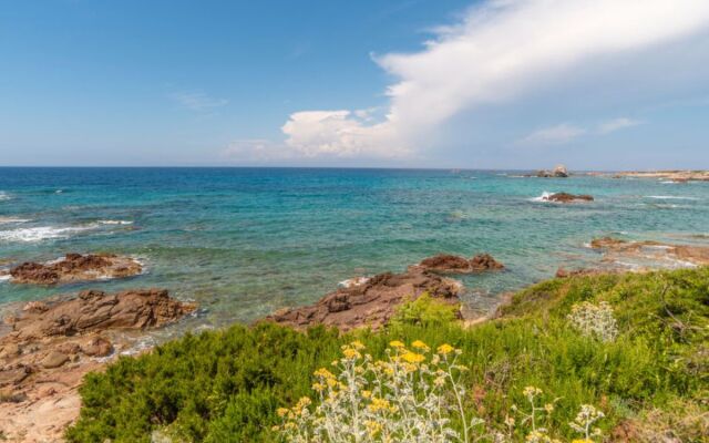 Locazione Turistica Sassicaia