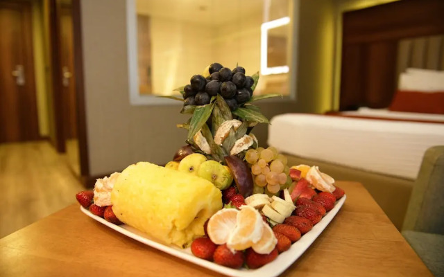Turizoom Business Hotel & Spa Elbistan