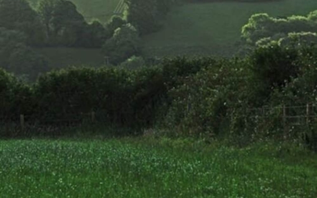 Dorset Farm