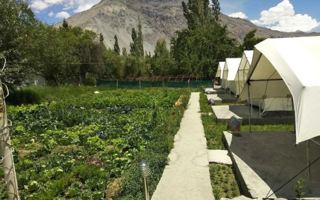 Apple Cottage Nubra - Glamping