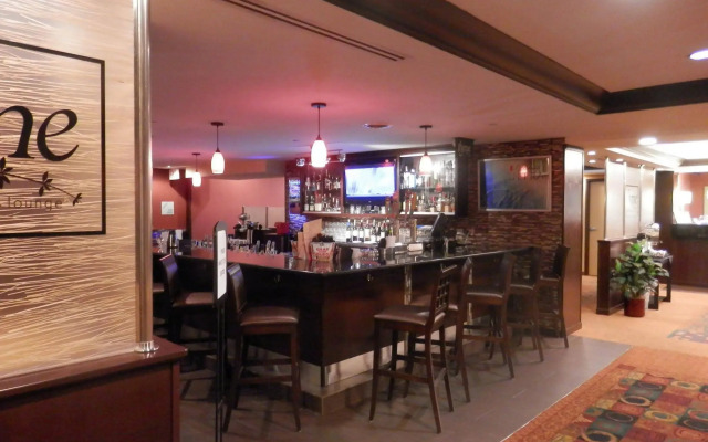 Hotel Indigo Rochester – Mayo Clinic Area by IHG
