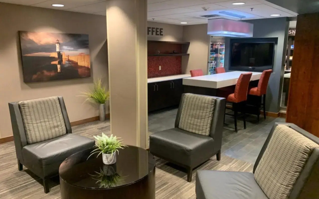Holiday Inn Hotel & Suites Duluth-Downtown