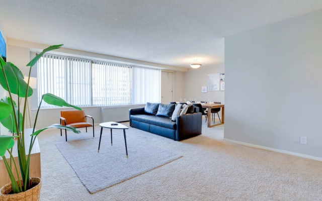Beautiful & Spacious Apt in Crystal City