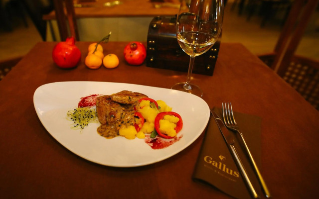 Hotel Gallus