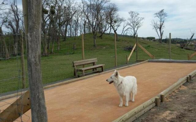 Gîte Montbrison, 4 pièces, 6 personnes - FR-1-496-157