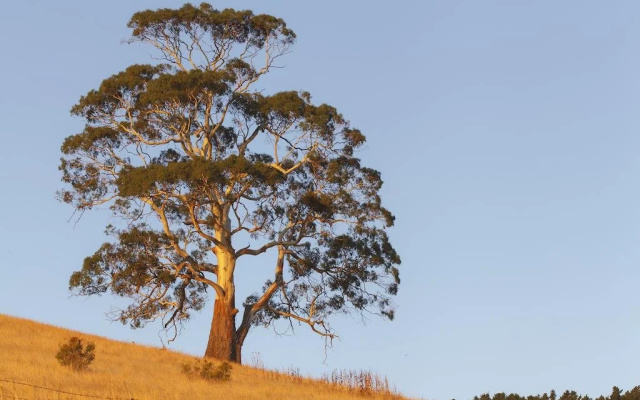 2 Dukes Daylesford