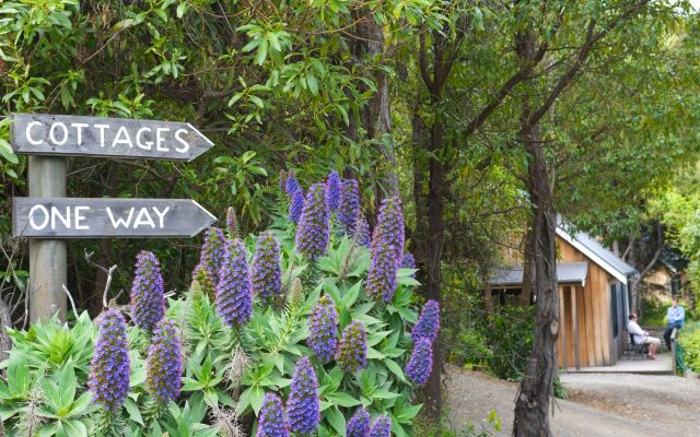 Akaroa Cottages