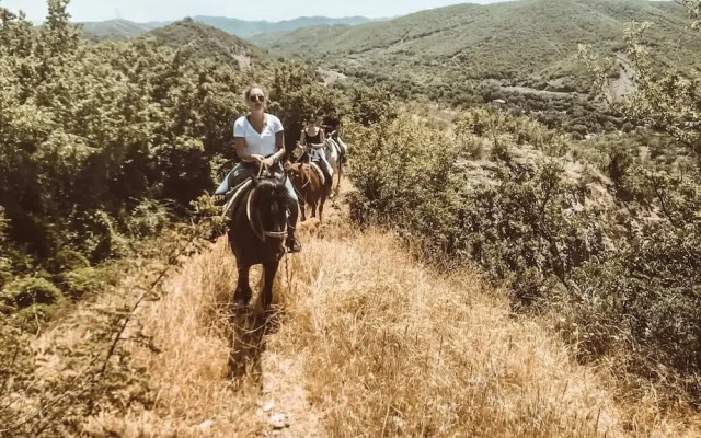 Lost Ridge Inn & Brewery & Ranch