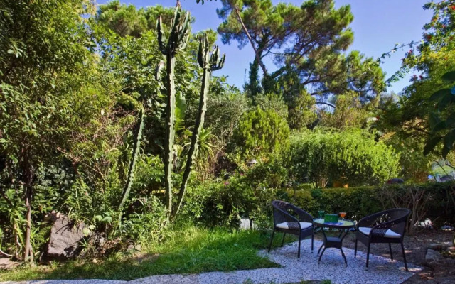 Hotel Albergo Terme & Spa Isola Verde