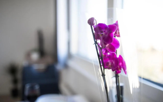 Studio apartman Moonlight