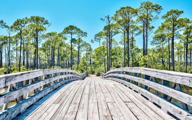 Sandestin Vacation Rental by Coastal Dreamin