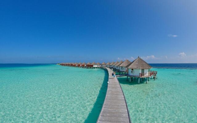 Safari Island Resort