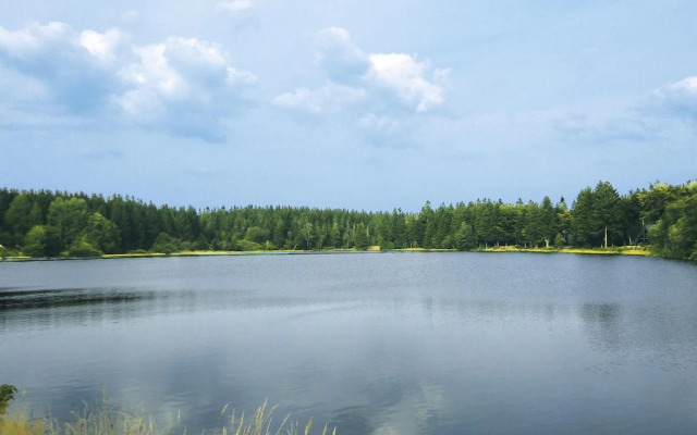 Holiday home in Clausthal-Zellerfeld with garden furniture