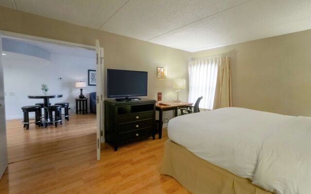 Indigo Buffalo - Amherst