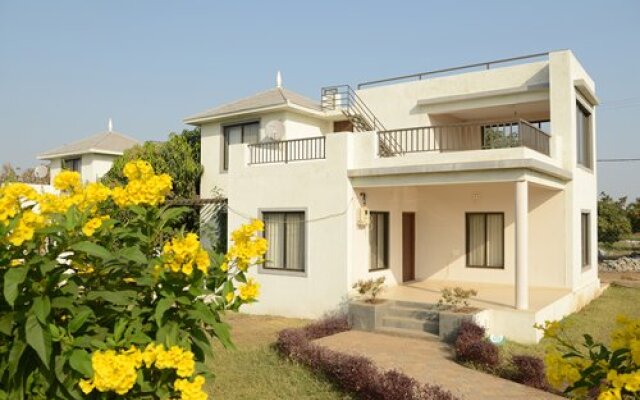 Lion's Den Gir
