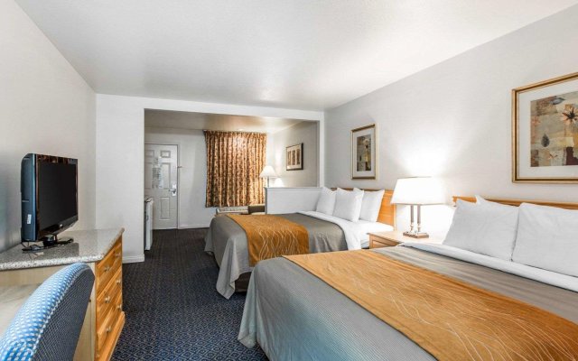 Comfort Inn & Suites Sequoia/Kings Canyon