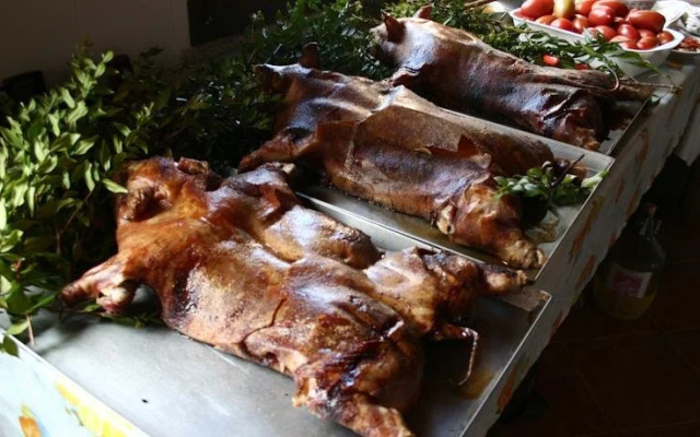 Agriturismo Costa Verde