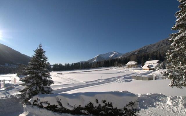 Charming Chalet in Hohentauern near Ski Lift