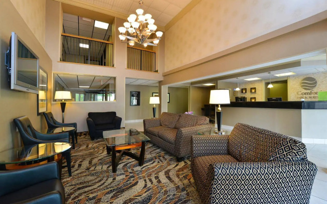 Comfort Inn & Suites Alexandria West