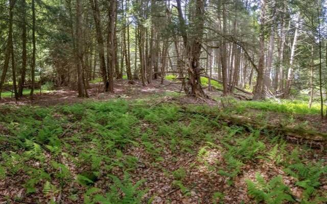 Tentrr - Fields of Dreams at Callicoon