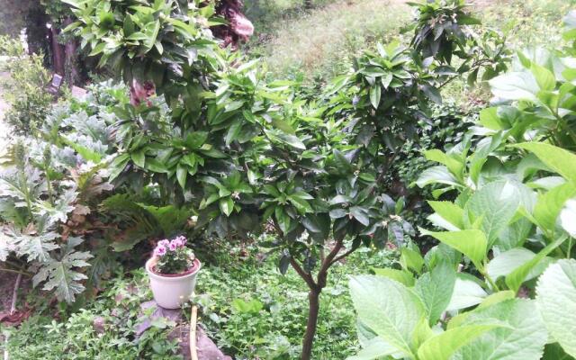 Domaine de La Fouquette