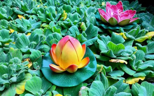 Zhangzhou Yan'an Hotel