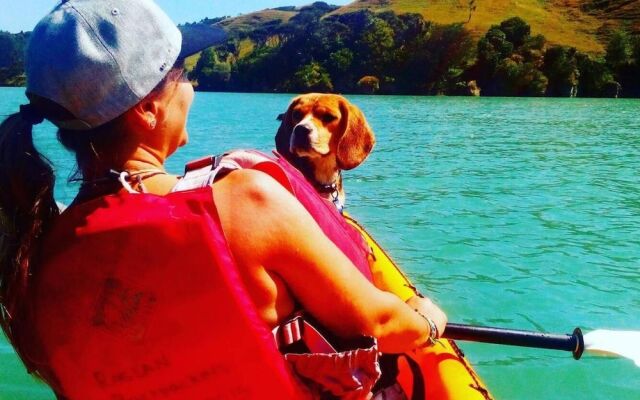 Raglan Backpackers