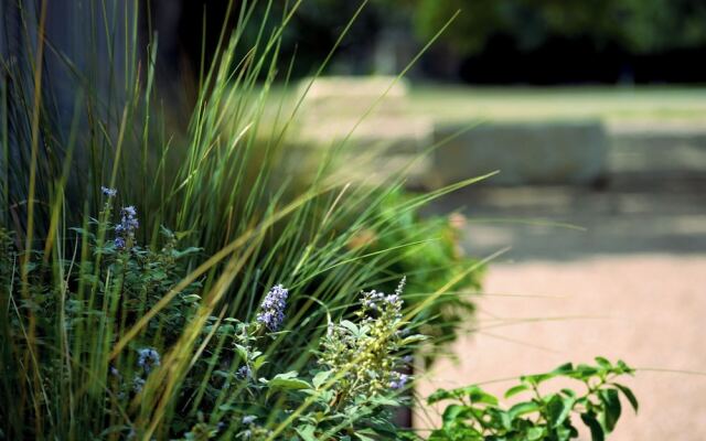 The Dixie Motel Brenham