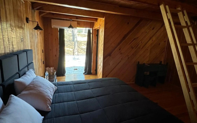 PINE TREE Hotel Boutique & Cabañas