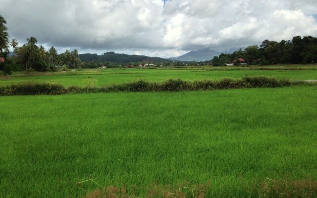 The Paddy Field Pool Villas