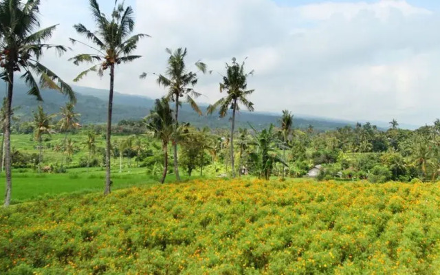 The Khana Sambangan
