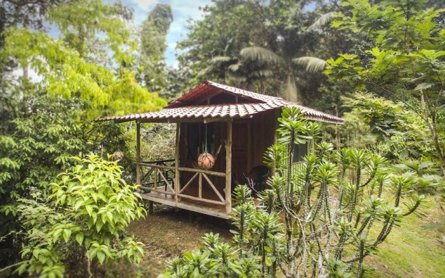 Naguala Jungle Lodge