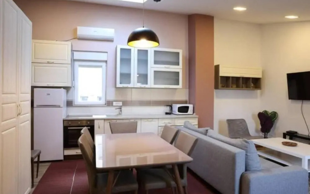 Belgrade Center Apartment Nusiceva