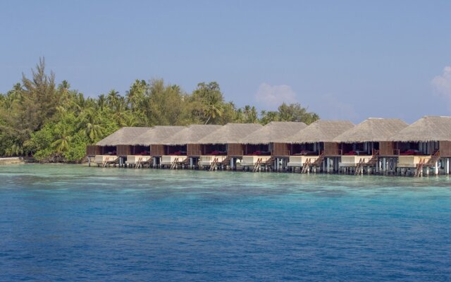 Coco Bodu Hithi