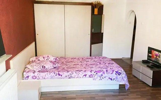 Floreasca Park Studio Apartment