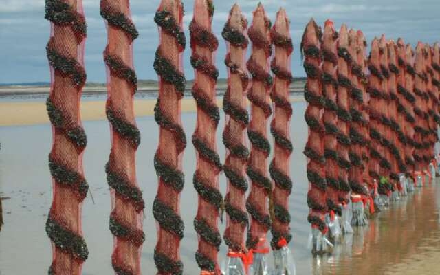 Escales dans les dunes