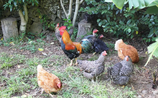 Quinta dos Afectos