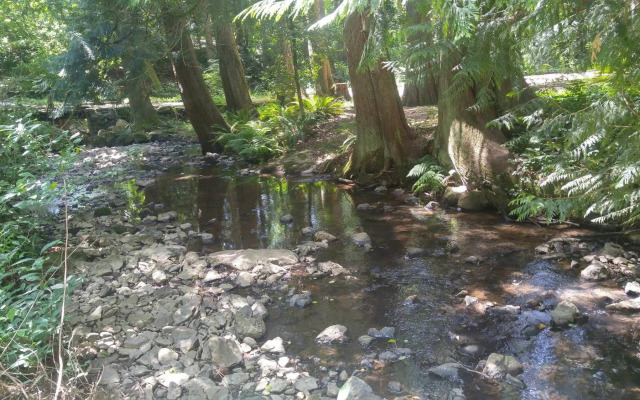 Scott Creek Farm