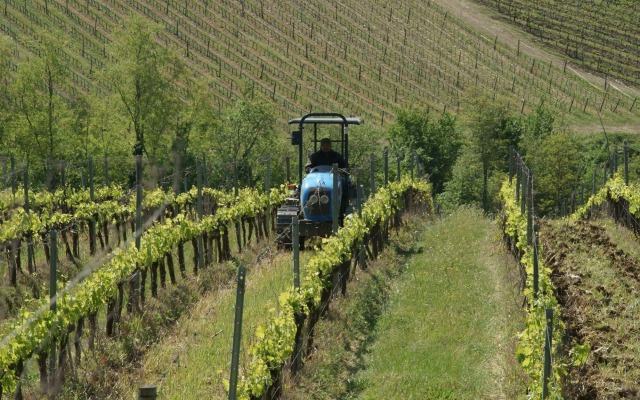Podere Vignola