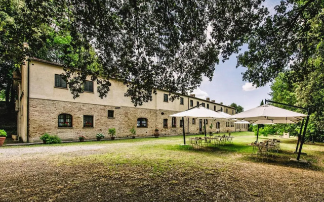 Country House in Tuscany With Pool and Olive Grove