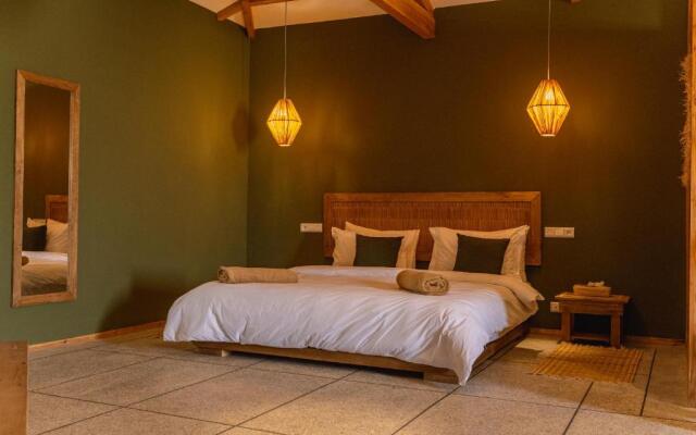 Oasis212 Dakhla