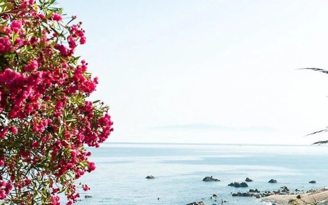 San Domenico Village