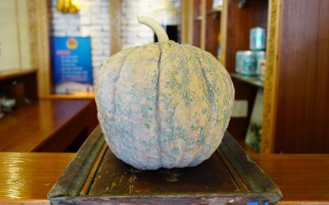 Xiangjian Xiaoqi Hostel