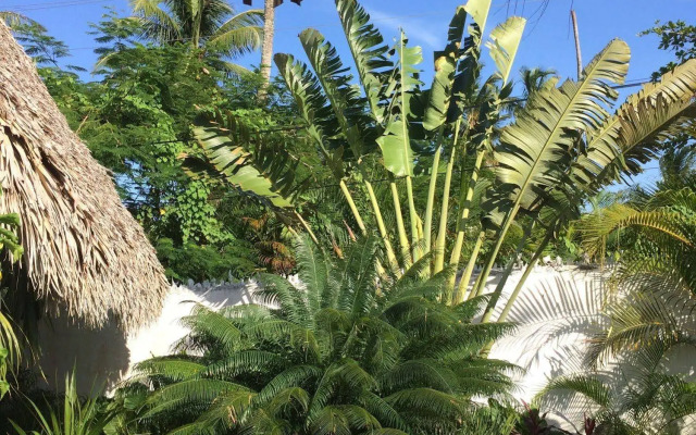 Mahona Bed & Breakfast