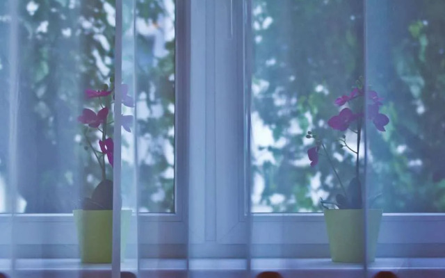 Sodispar Aparthotel  Apartments