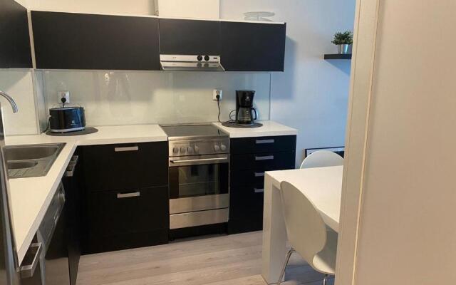 Style 1BR with sauna,Tornio city