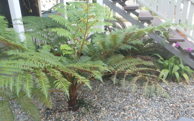 Driftwood Bed and Breakfast