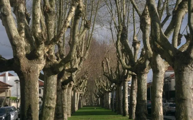 Rendez Vous Porto II