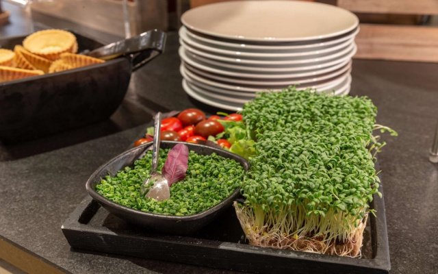 Holiday Inn — the niu, Franz Vienna