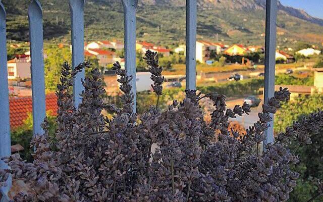 Guest House Mamut
